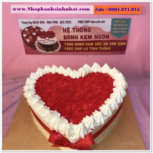 Bánh Sinh Nhật Tiramisu - T134